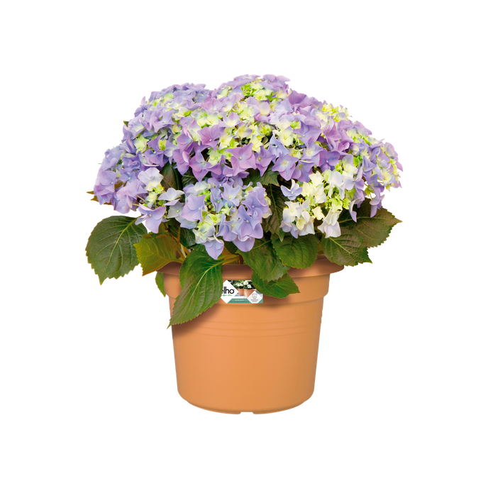 green basics cilinder 45cm terre cuite doux